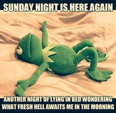 a green stuffed animal laying on top of a bed next to a caption that reads, sunday night is here again another night of lying in bed wondering what fresh