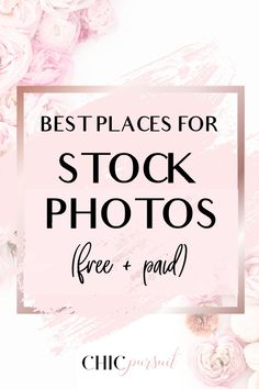 pink flowers with the words best places for stock photos free and paid