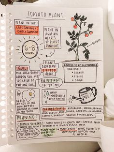 a notebook with an illustrated diagram of tomato plants and other things to eat on it