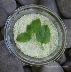 a glass bowl filled with green leaves on top of rocks