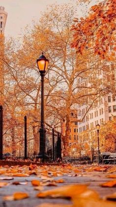 an autumn scene with leaves on the ground and a street light in the foreground