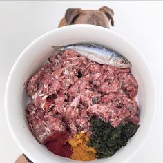 a bowl filled with different types of food next to a brown dog on the floor