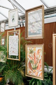 several framed pictures hanging from the ceiling in a room with plants and potted plants