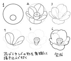 how to draw flowers step by step with pictures for beginners in english and chinese