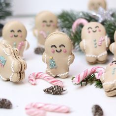 several small gingerbreads with candy canes in front of them