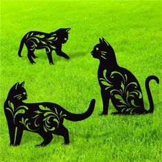 three black cats are standing in the grass