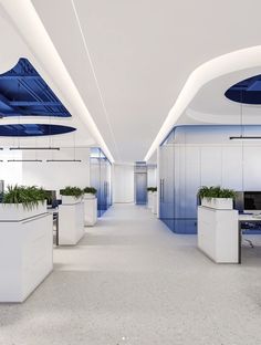 an empty office with blue and white decor on the ceiling, plants in planters