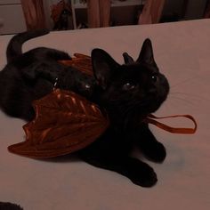 a black cat laying on top of a bed next to a brown bag with leaves