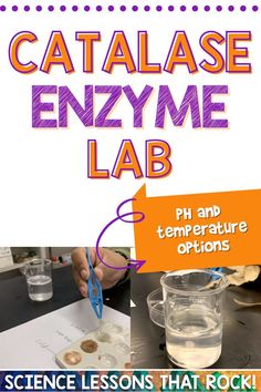 an image of a science lesson with text that reads catalase enzyme lab