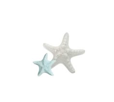 two white and blue starfish on a white background