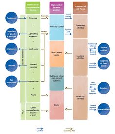 a diagram showing the different stages of an organization's life cycle