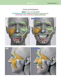 the facial expressions are shown in three different views, including one with an open mouth