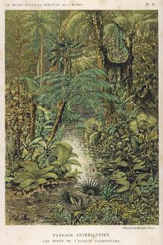 an illustration of a jungle scene with trees and plants in the foreground, water running through the middle