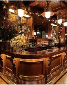 a bar with many bottles on it and lights hanging from the ceiling over it, along with potted plants