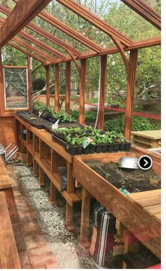 the inside of a greenhouse with many plants growing in pots and potted planters