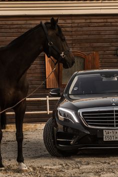 a horse tied to a car in front of a building