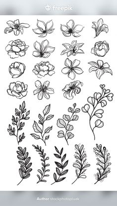 flowers and leaves are drawn in black ink on a white background, each with different colors