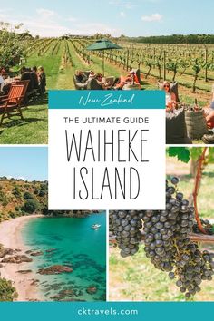 the ultimate guide to waiheke island, new zealand's best wine destination