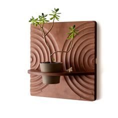 a potted plant sitting on top of a wooden shelf