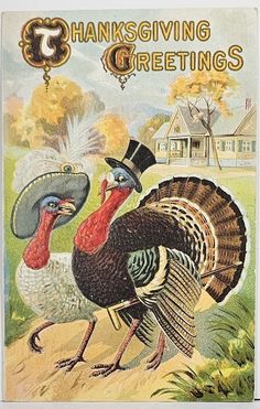 an old thanksgiving greeting with two turkeys