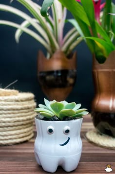 two small pots with plants in them on a wooden table next to other potted plants