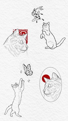 an image of cats and butterflies in different stages of flight, from cat to dog