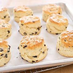 several biscuits on a baking sheet ready to be baked in the oven or used as an appetizer