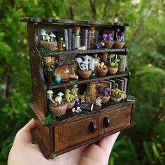 a person holding up a small wooden box filled with miniature plants and figurines