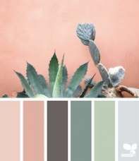 an image of a plant with color swatches