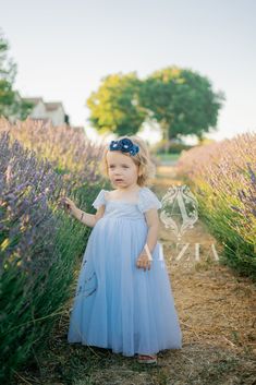 Lavender Tutu Dress For Summer Party, Summer Party Lavender Tutu Dress, Light Blue Tutu Dress For Summer Dress-up, Summer Princess Tutu Dress With Short Sleeves, Light Blue Spring Tutu Dress For Dress-up, Light Blue Tutu Dress For Spring Dress-up, Spring Light Blue Tutu Dress, Fitted Light Blue Tutu Dress For Summer, Blue Summer Wedding Tutu Dress