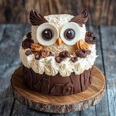 an owl cake with white frosting and chocolate decorations