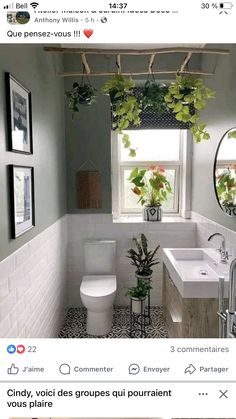 the bathroom is decorated in white and has plants hanging from the window over the toilet