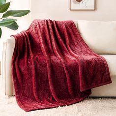 a white couch with a red blanket on top of it next to a potted plant