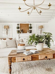 a living room filled with furniture and a potted plant on top of a coffee table