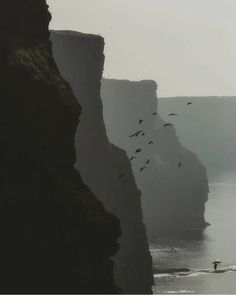 birds are flying over the water near cliffs