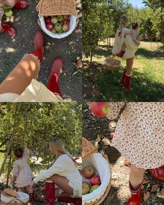 two women are picking apples from an apple tree in the orchard, and another woman is holding a basket full of apples