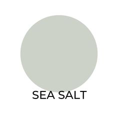 the words sea salt are in black and white letters on a light gray background with an oval