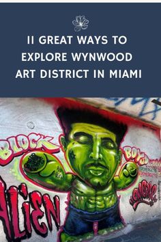 Colorful mural in Wynwood Art District Miami in green and red, depicting a latino Hulk Miami Wynwood, Wynwood Miami