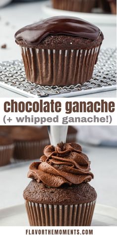 chocolate ganache cupcake on a white plate with the title overlay above it