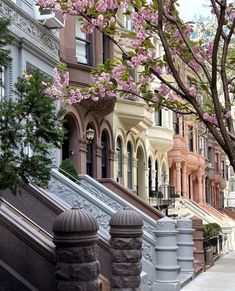 a row of houses with pink flowers on the trees and stairs leading up to them