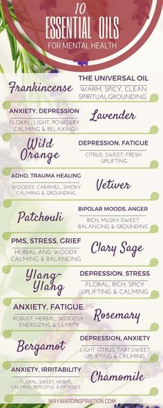 Health Infographic, Aromatherapy Recipes, Essential Oils For Pain, Essential Oils Guide, Oil Diffuser Recipes, Essential Oil Blends Recipes, Diffuser Recipes, Essential Oil Diffuser Blends, Young Living Oils