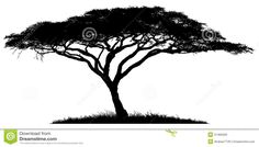 an african tree silhouetted against a white background