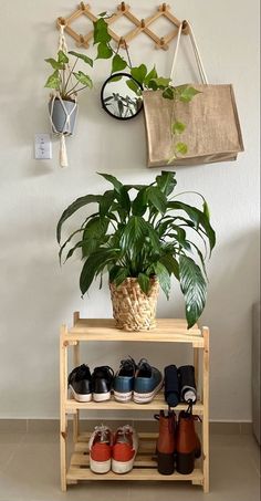 a potted plant sitting on top of a wooden shelf next to some pairs of shoes