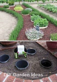 two pictures side by side with plants in the middle and an empty pot on the ground