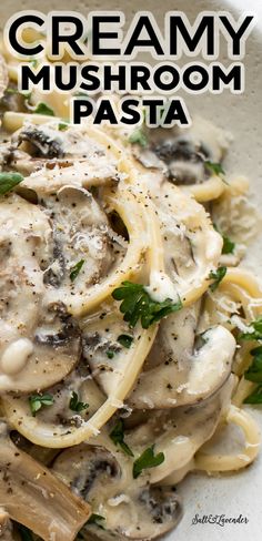 creamy mushroom pasta with parsley in a white bowl