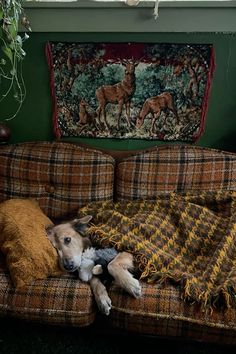 a dog laying on top of a couch next to a blanket and pillows in front of a window