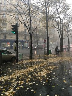 a rainy day in the city with leaves on the ground