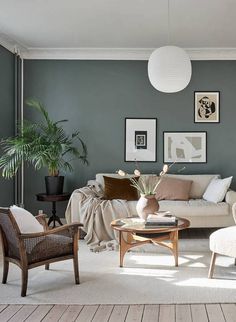 a living room filled with lots of furniture next to a wall covered in pictures and plants