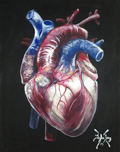 a painting of a human heart on a black background