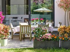 an outdoor dining area with potted plants and flowers in the foreground, next to a patio